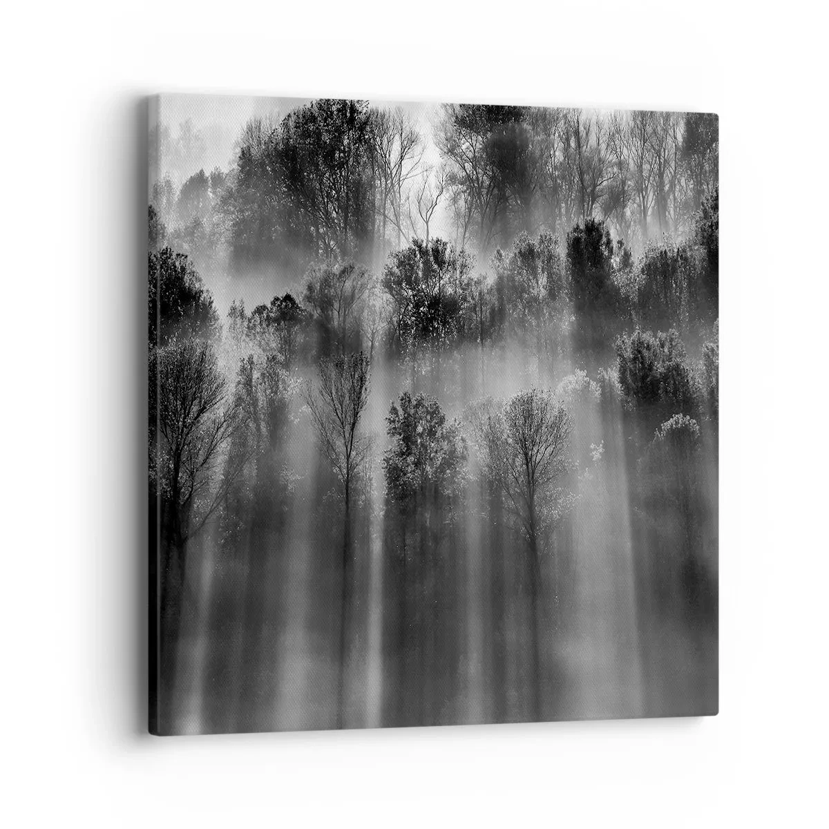 Vászonkép - Fénypatakokban - 40x40 cm