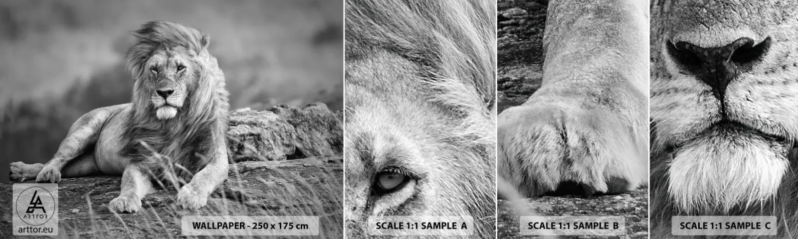 Fotótapéta Minta Öntapadós Deluxe Sticker - Királyi szieszta - Oroszlán, Állatok, Természet - 100x30 cm