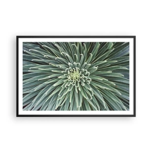 Poszter fehér keretben - Csillag születik - 91x61 cm