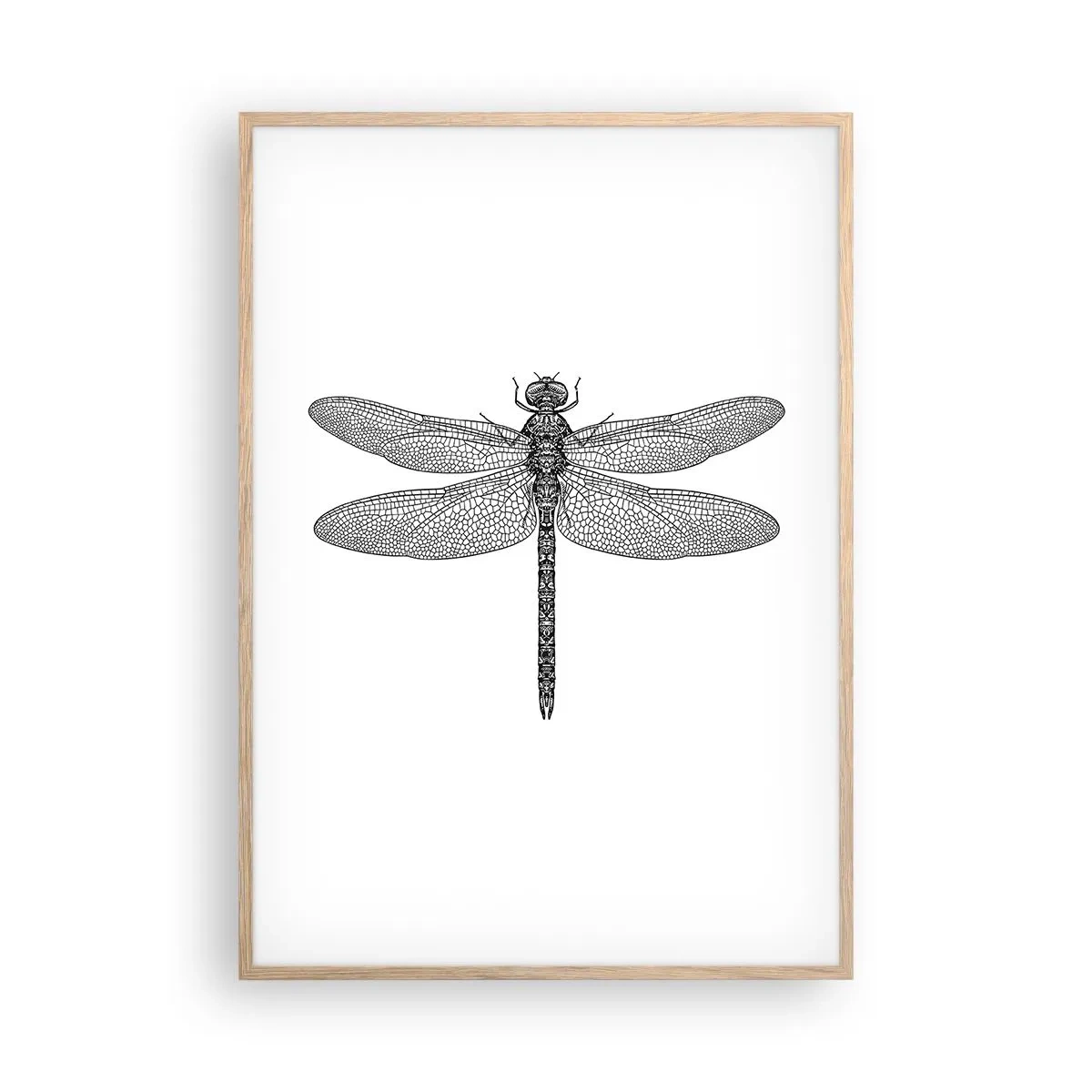 Poszter világos tölgy keretben - A természet precizitása - 70x100 cm