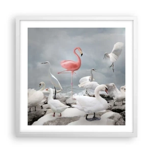 Poszter fekete keretben - Hogy kerültem ide? - 50x50 cm