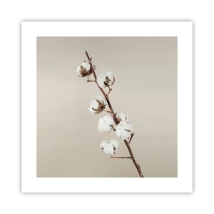 Poszter - A puhaság forrásánál - 40x40 cm