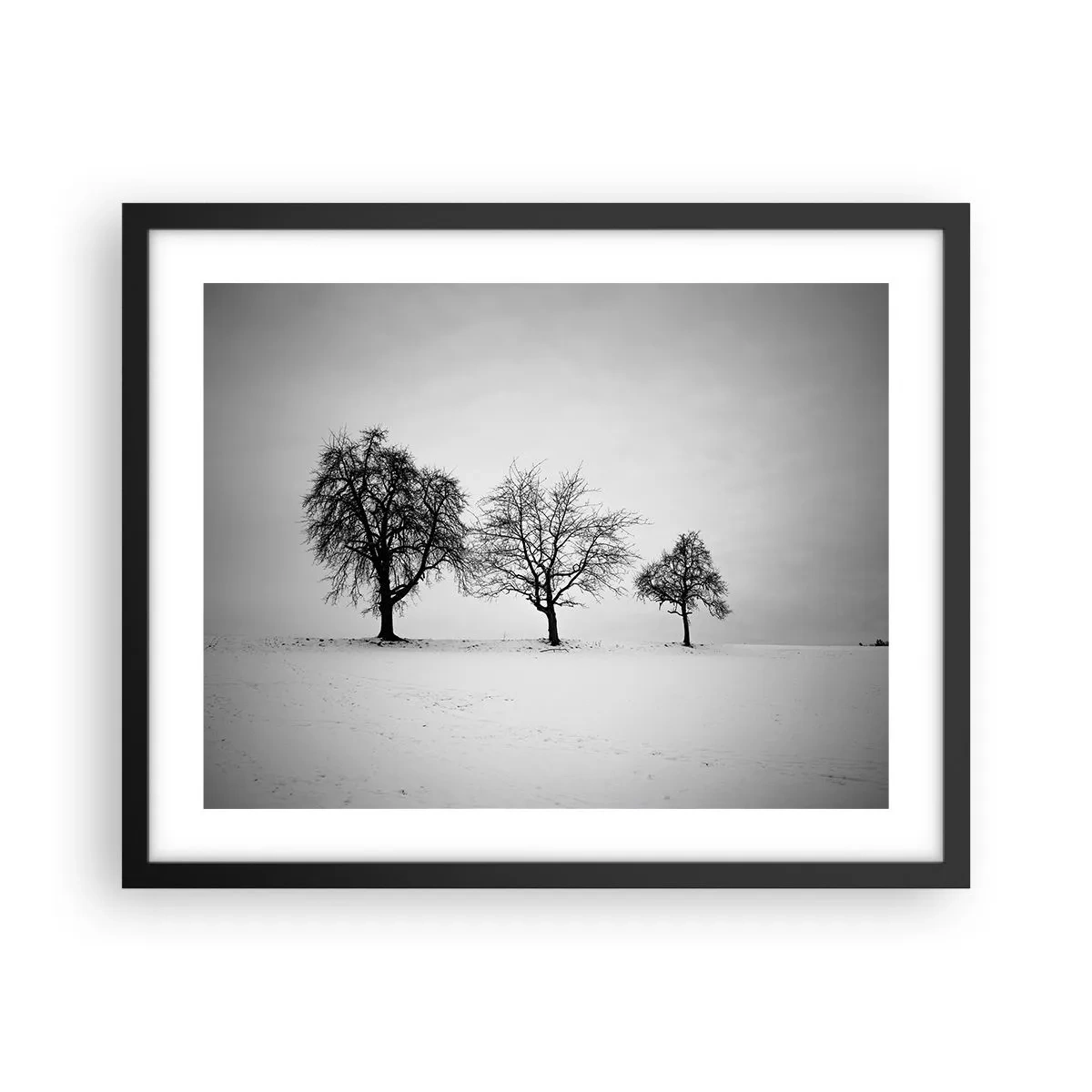 Poszter fehér keretben - Miről álmodoznak? - 50x40 cm