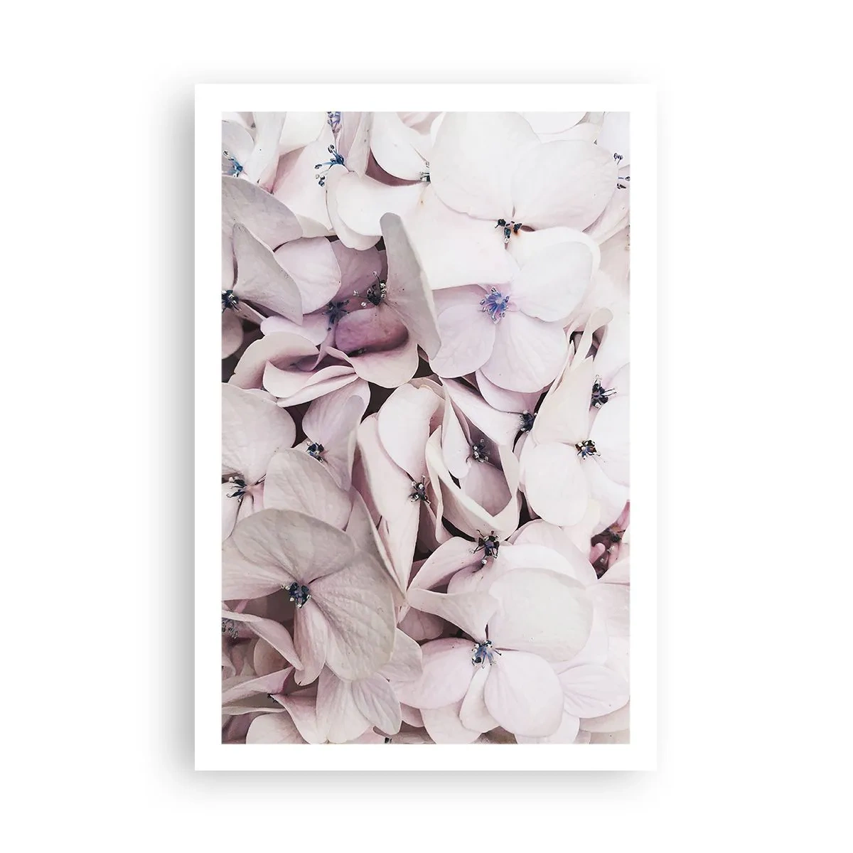 Poszter - A virágok áradatában - 61x91 cm