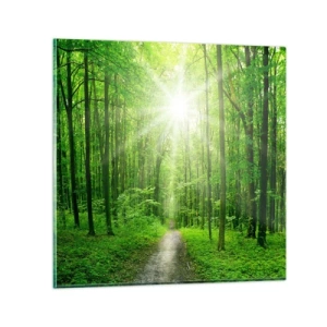 Üveg kép - A zöld katedrális - 70x70 cm