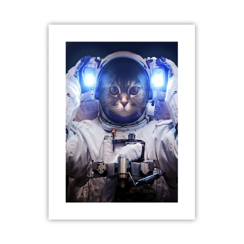 Poszter - Houston, baj van - 30x40 cm