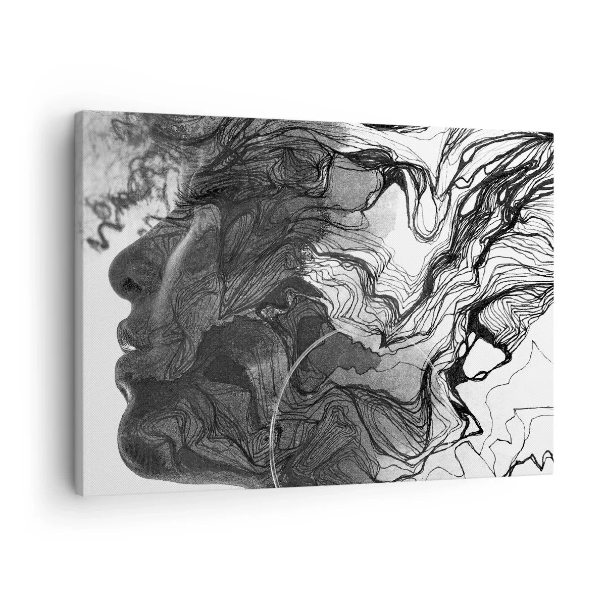 Vászonkép - Absztrakt arc fekete-fehérben, dinamikus vonalakkal. - 70x50cm - Álmokba gabalyodva - Modern fali dekoráció nappalihoz és hálószobához ARTTOR