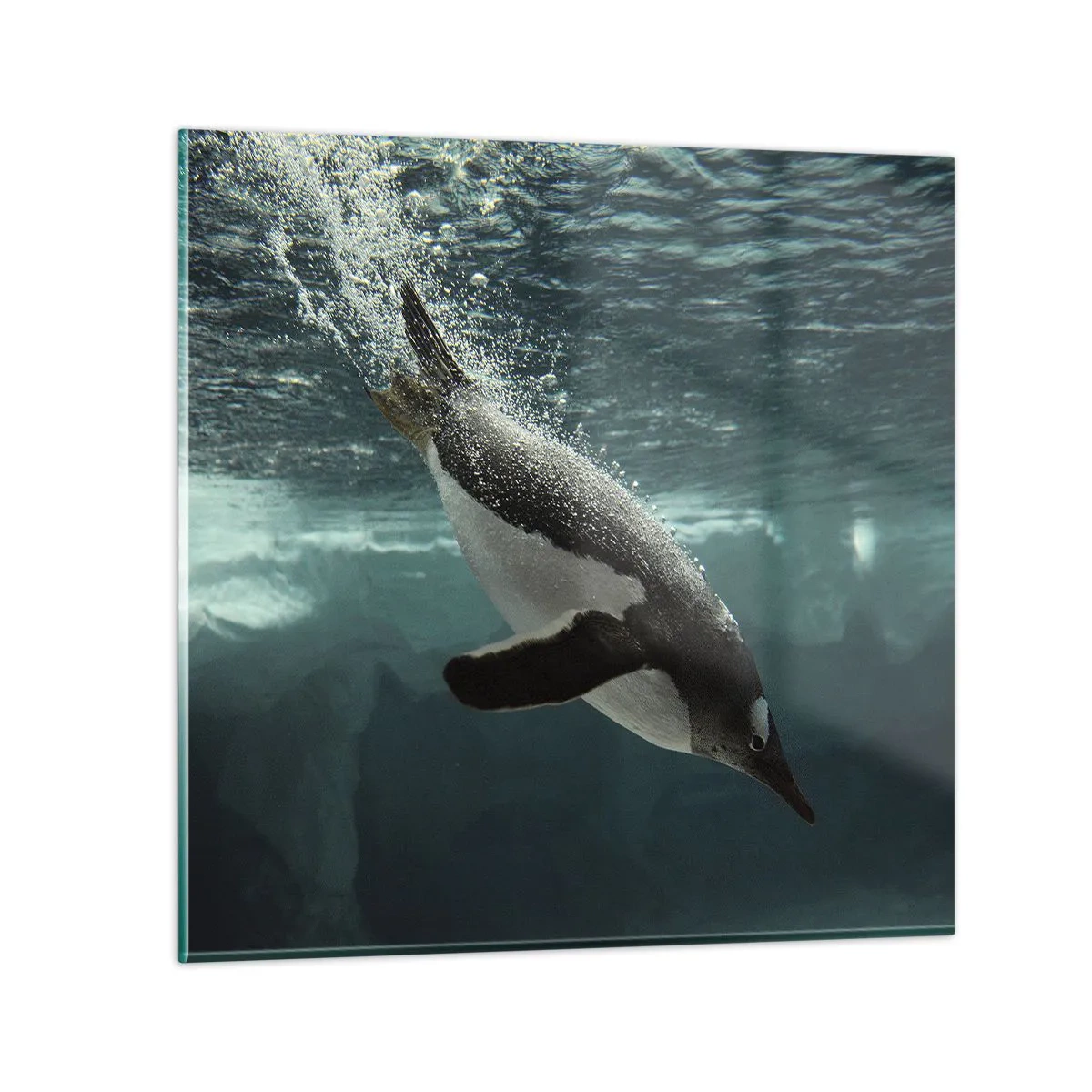 Üveg kép - Üdv a világomban - 30x30 cm