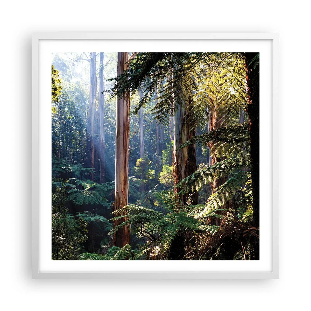 Poszter fekete keretben - Erdei mese - 60x60 cm