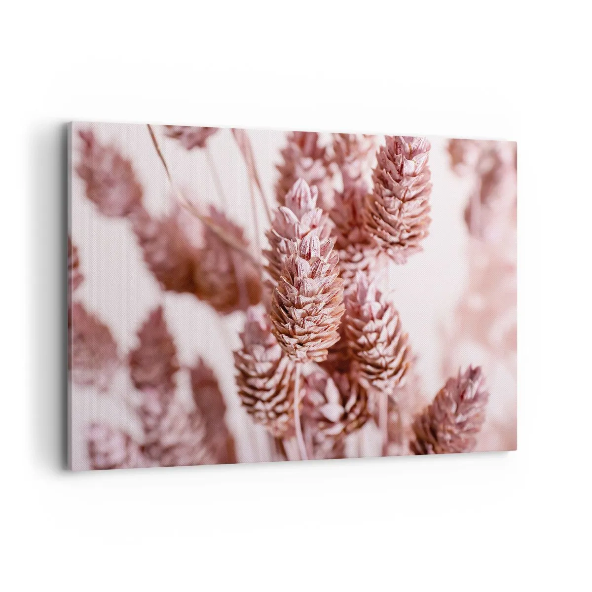 Vászonkép - Látszólag feltűnő - 100x70 cm