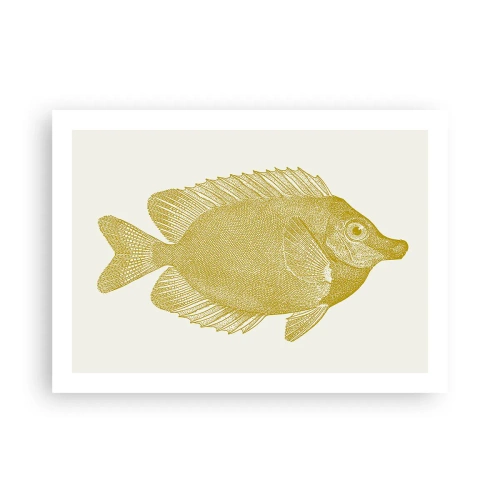 Poszter - Csak a hal - 70x50 cm