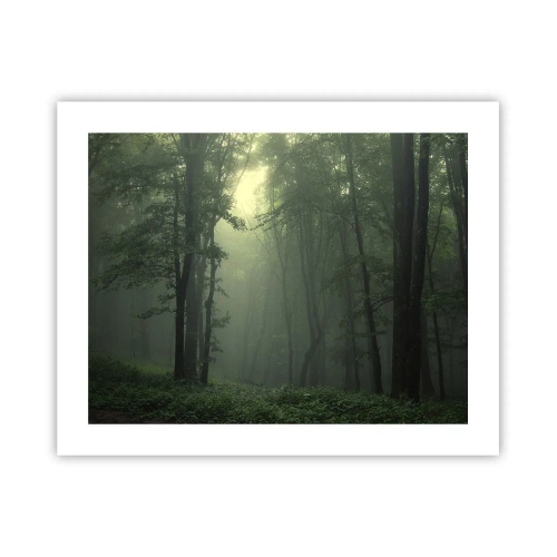 Poszter - Mielőtt felébred - 50x40 cm