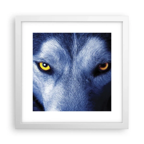 Poszter fekete keretben - Hipnotizáló nézés - 30x30 cm