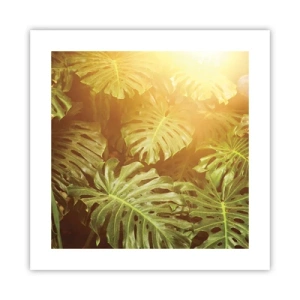 Poszter - A zöldbe belépni... - 40x40 cm