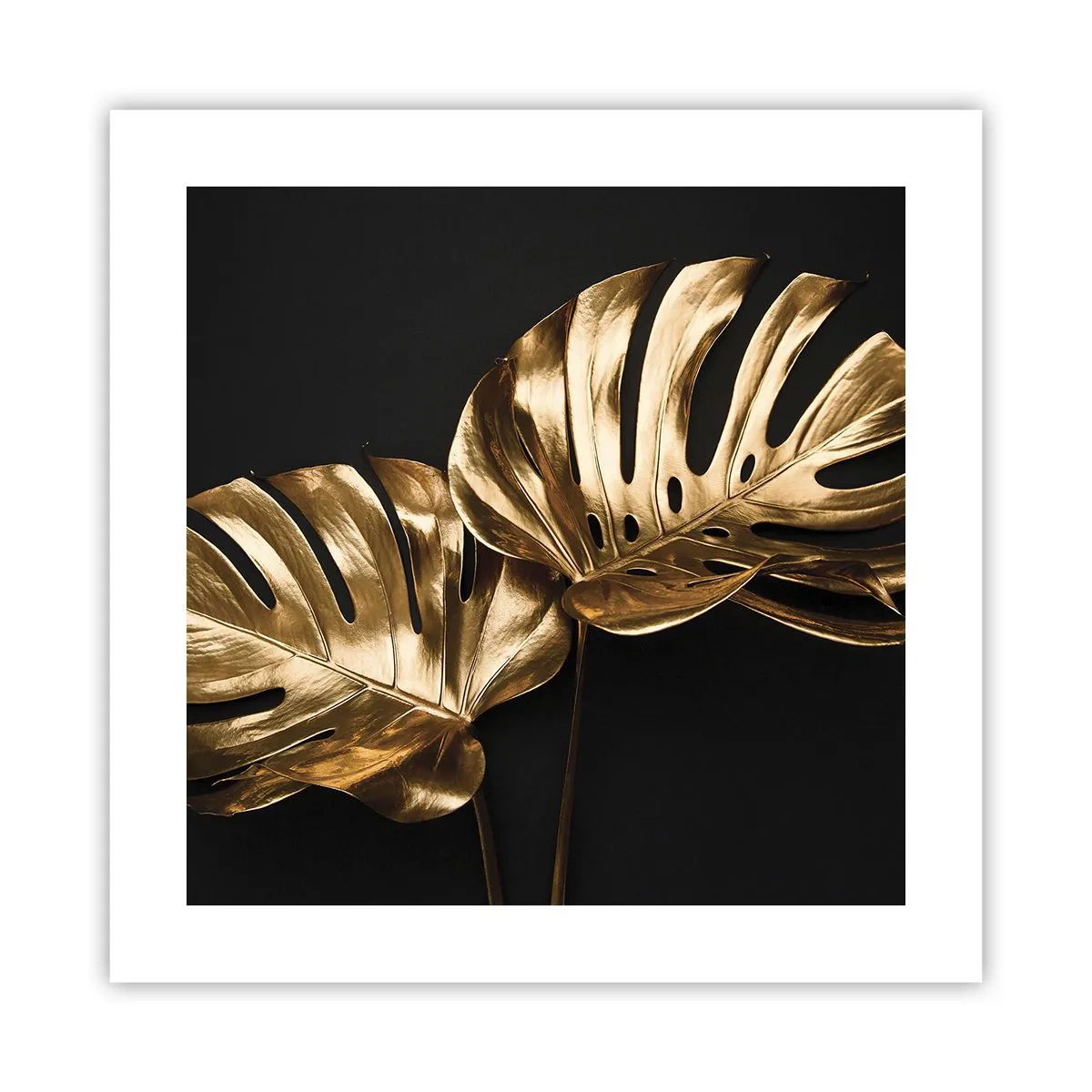 Poszter - A természet kincsei - 40x40 cm