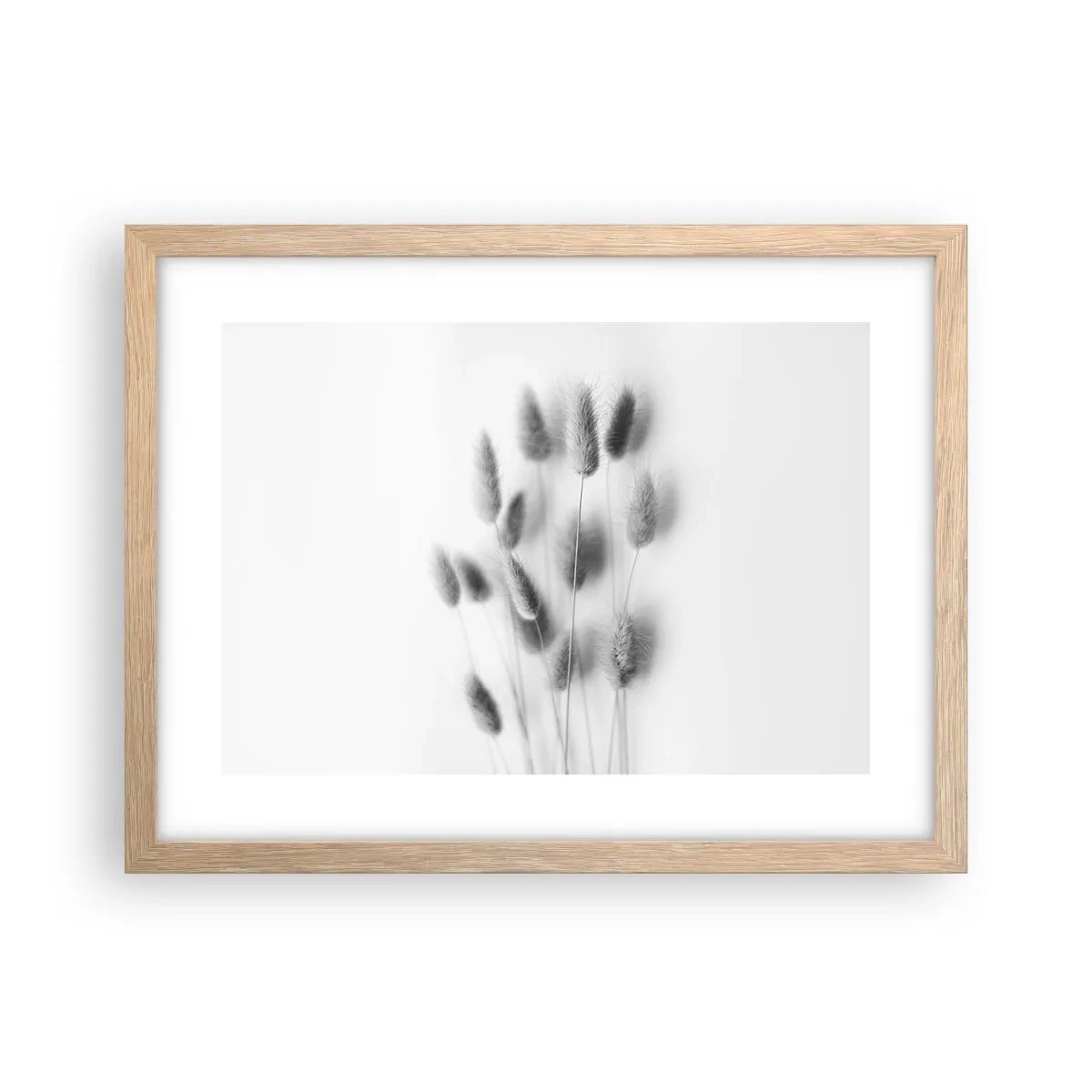 Poszter világos tölgy keretben - A bolyhos fű - 40x30 cm