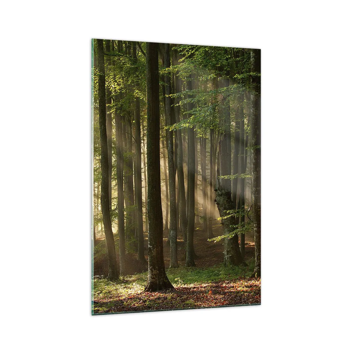 Üveg kép - Ragyogó tavaszi reggelen - 70x100 cm