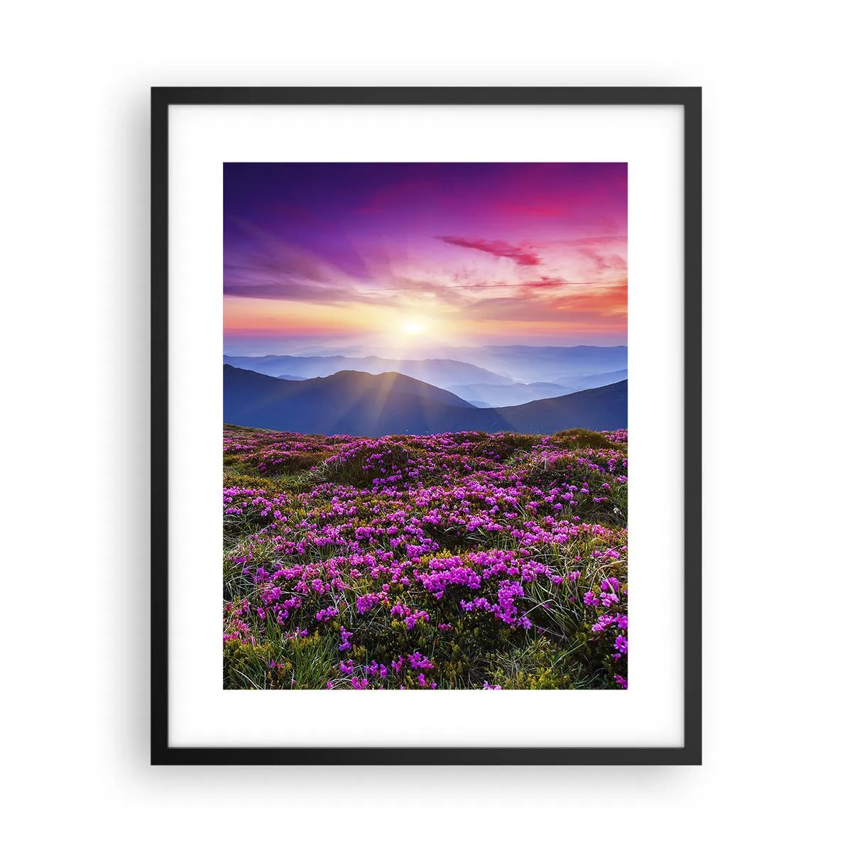 Poszter fehér keretben - A gyógynövények friss fürtjei illatoztak a mezőkről - 40x50 cm