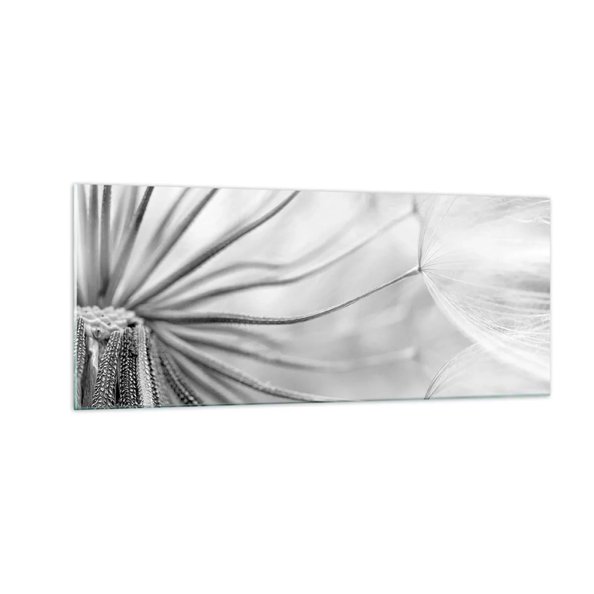 Üveg kép - Pitypang, papírsárkány - 100x40 cm