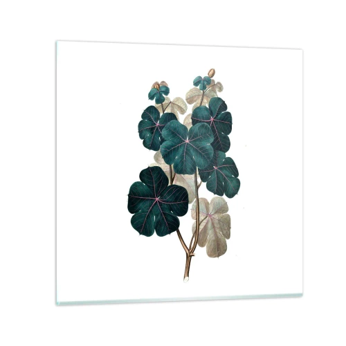 Üveg kép - Egy régi herbáriumból - 50x50 cm