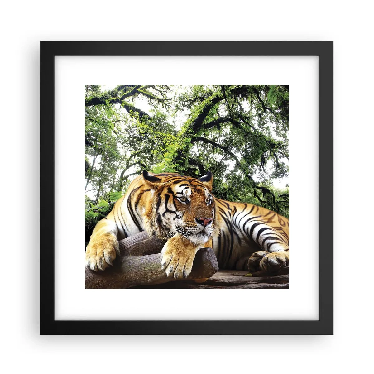 Poszter fehér keretben - Tisztelettel - 30x30 cm