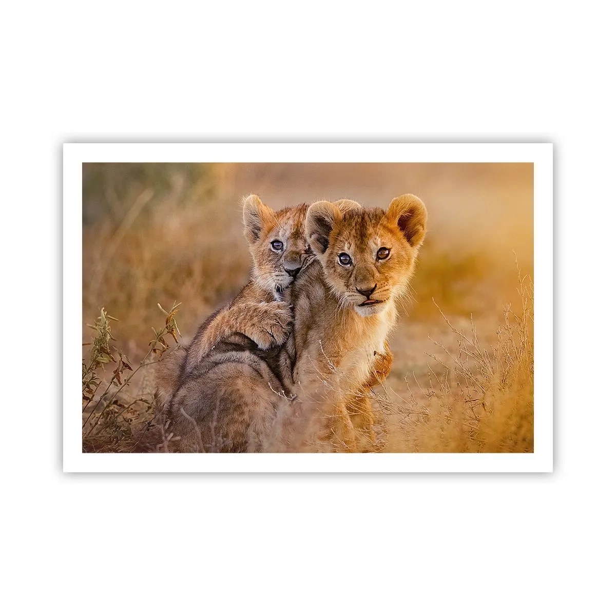 Poszter - Ne zavarni! Szórakozunk - 91x61 cm