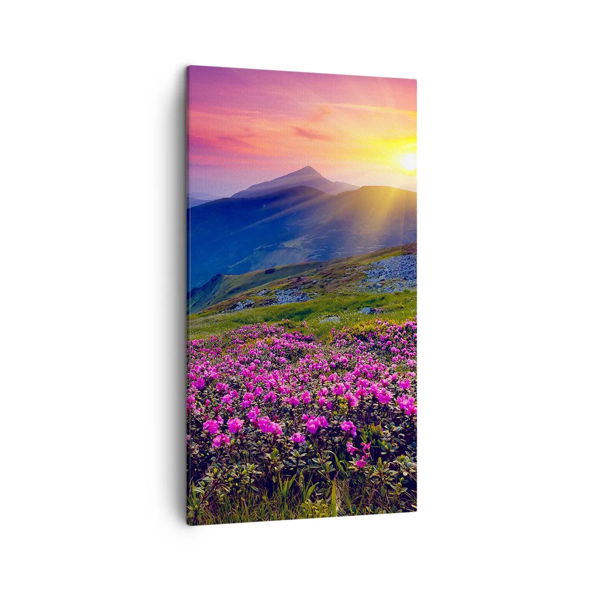 Vászonkép - … És körülötte hegyi fenyő és gyógynövények illata - 45x80 cm