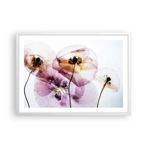 Poszter fekete keretben - Átlátszó virág test - 70x50 cm