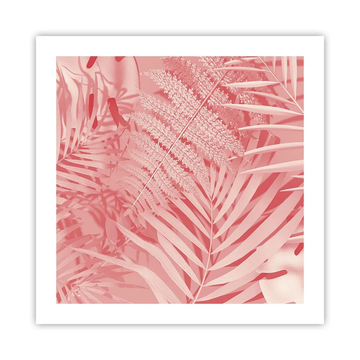 Poszter - Rózsaszín koncepció - 50x50 cm