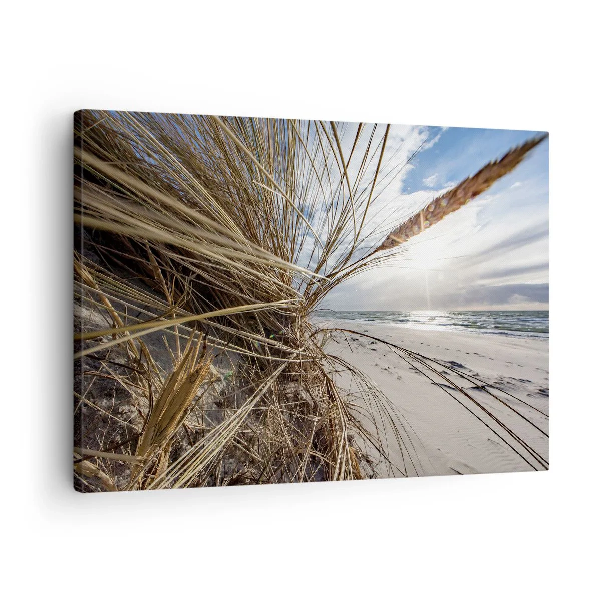 Vászonkép - Egy száraz fűvel borított dűnékkel és tengerre néző kilátással rendelkező strand - 70x50cm - Az elemek találkozása - Modern fali dekoráció nappalihoz és hálószobához ARTTOR