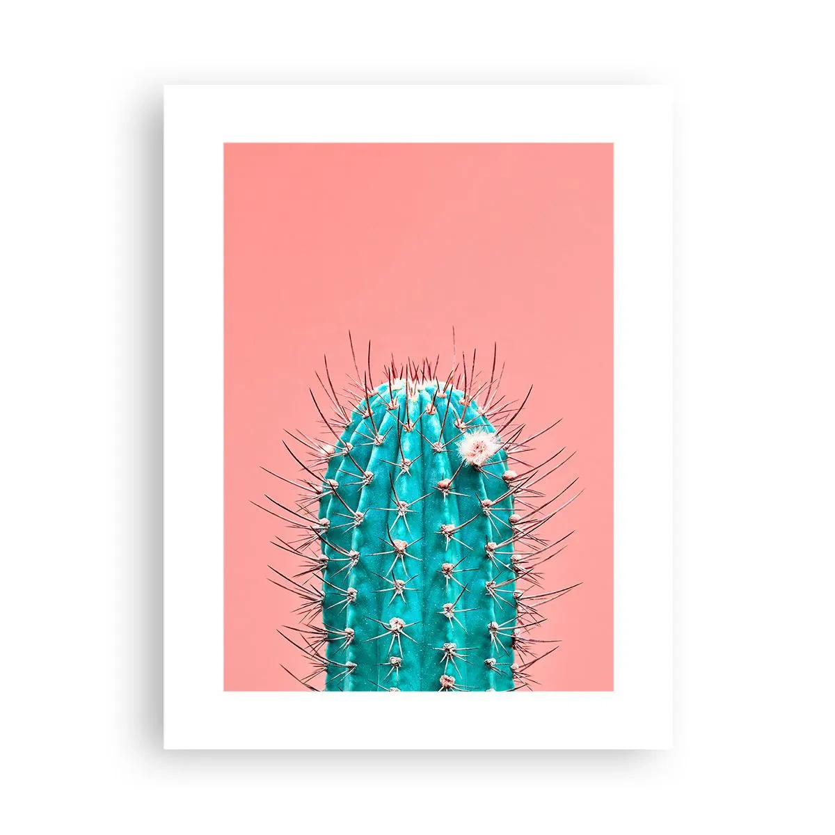 Poszter - Csak nézz - 30x40 cm