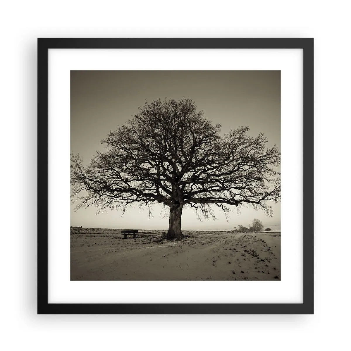 Poszter fehér keretben - Innen az örökkévalóságig - 40x40 cm