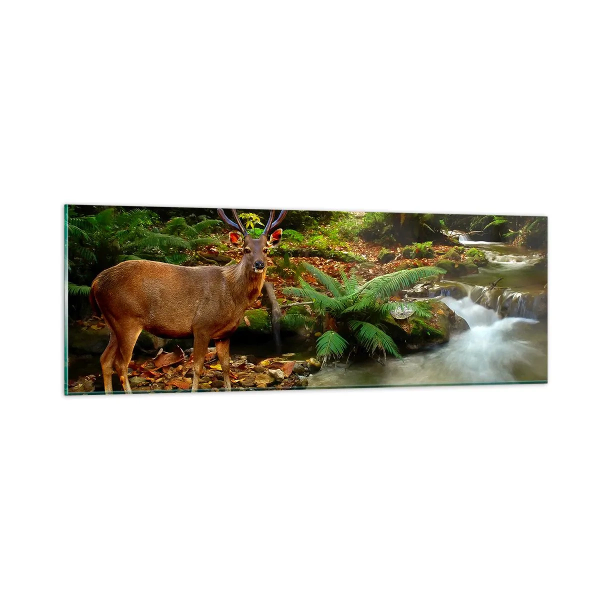 Üveg kép - üdvözöllek a világomban - 90x30 cm