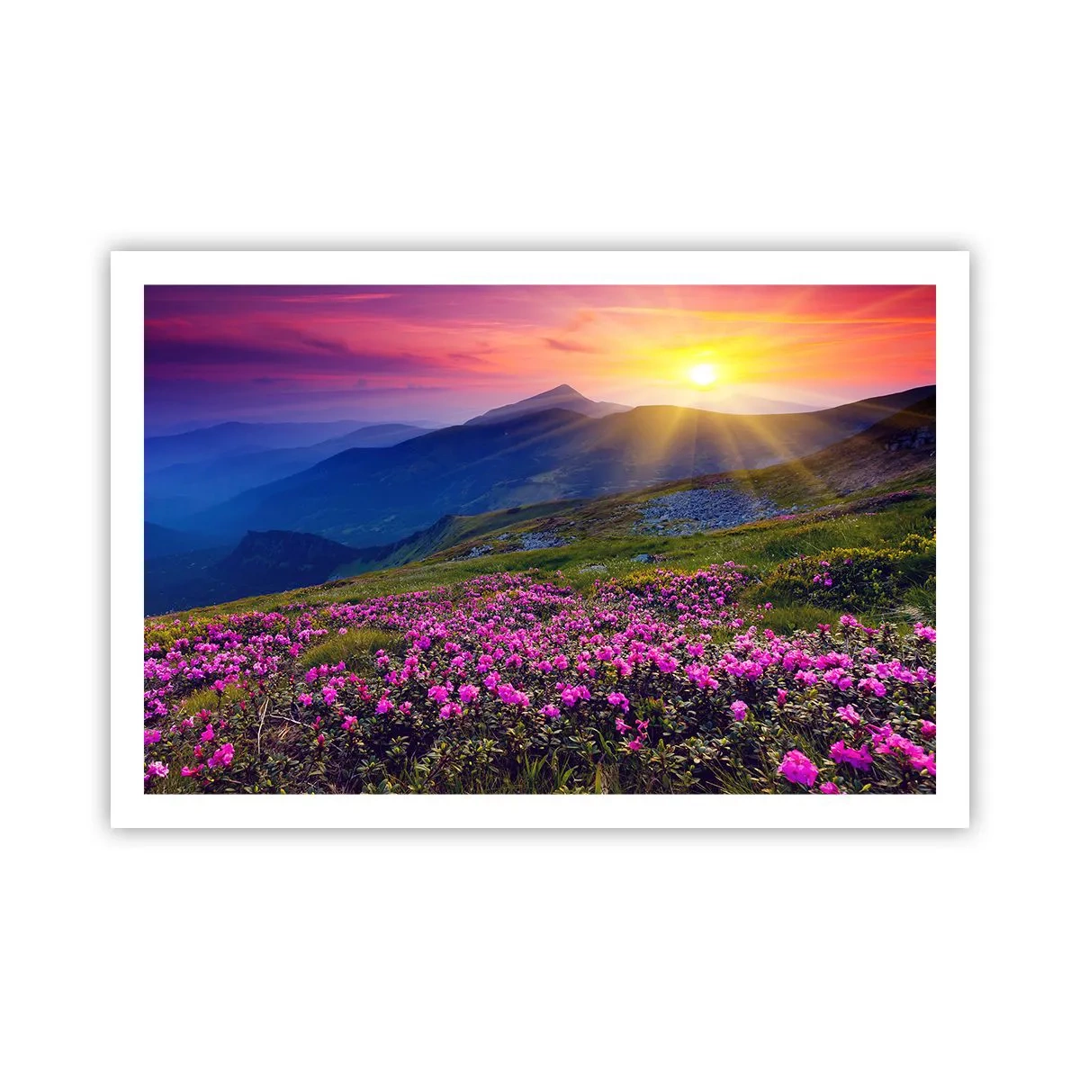 Poszter - … És körülötte hegyi fenyő és gyógynövények illata - 91x61 cm