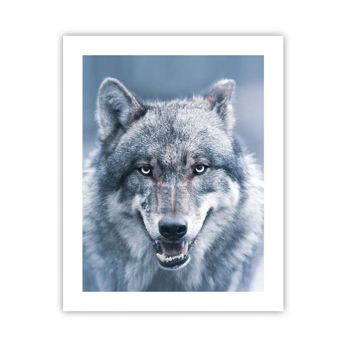 Poszter - Vállalod a kihívást? - 40x50 cm