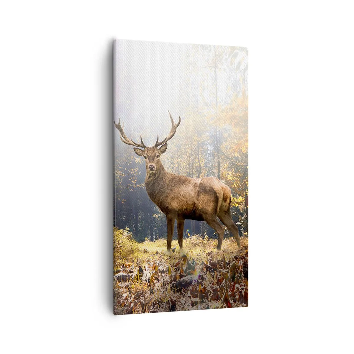 Vászonkép - Teljes fenségben - 55x100 cm