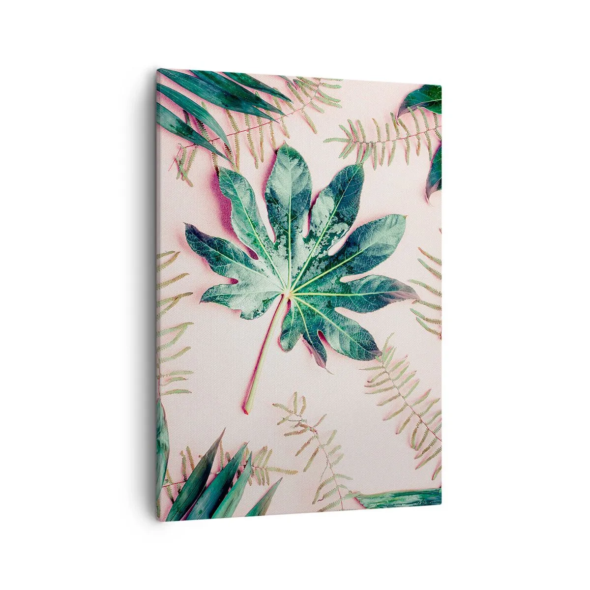 Vászonkép - A zöld tanulmánya a rózsaszín háttérben - 50x70 cm