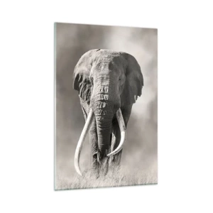 Üveg kép - Afrikai patriarcha - 80x120 cm