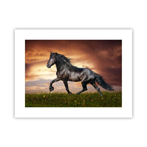 Poszter - Fekete herceg - 40x30 cm