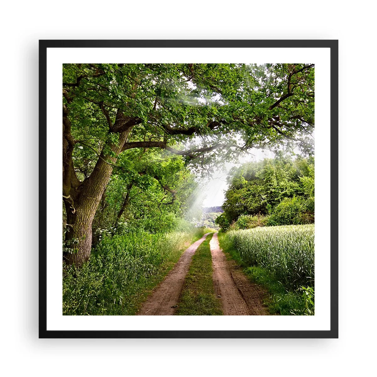 Poszter fehér keretben - Et in Arcadia ego - 60x60 cm