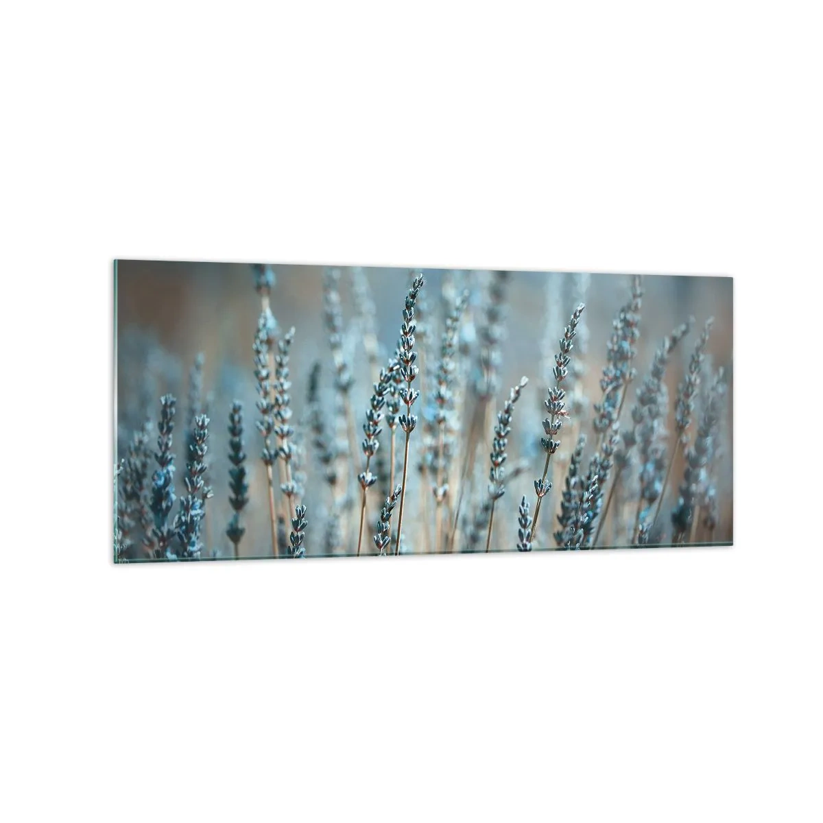 Üveg kép - Illatos szálak - 120x50 cm