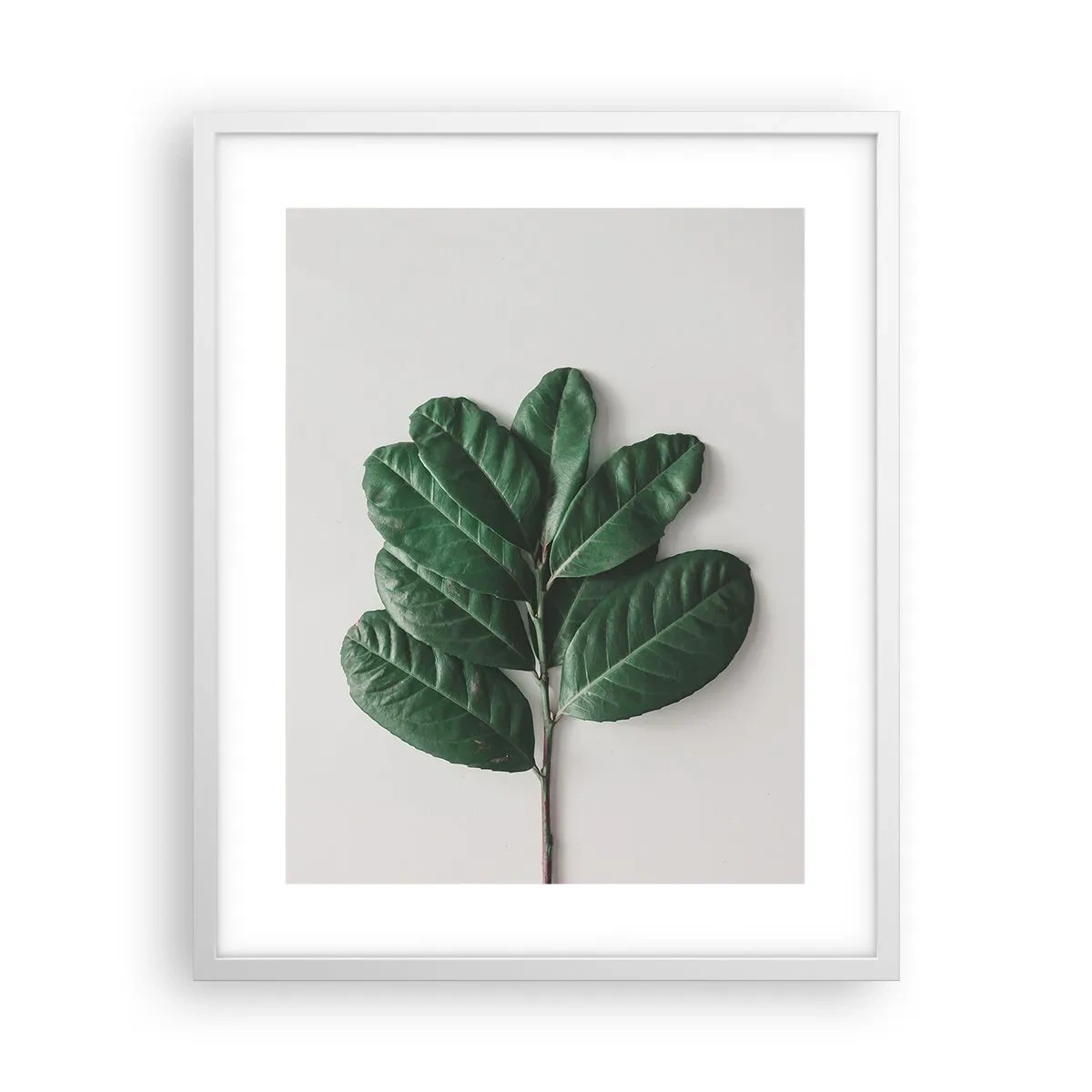 Poszter fekete keretben - Rajz csak a természetről - 40x50 cm