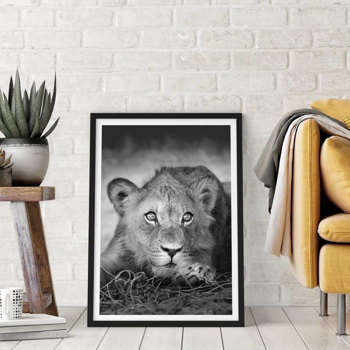 Poszter fehér keretben - Királyi kölyök - 61x91 cm