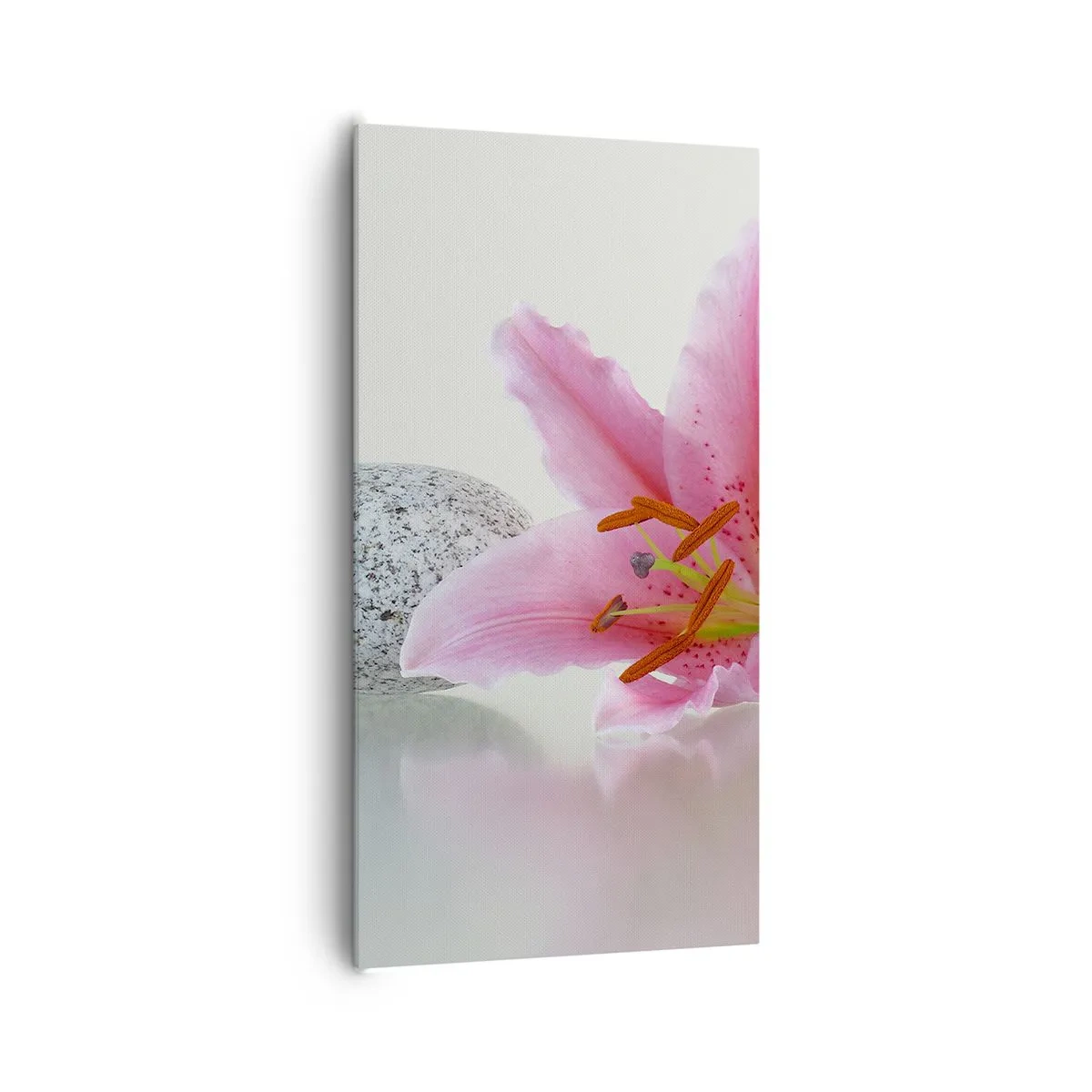 Vászonkép - Egy tanulmány rózsaszín, szürke és fehér színben - 65x120 cm