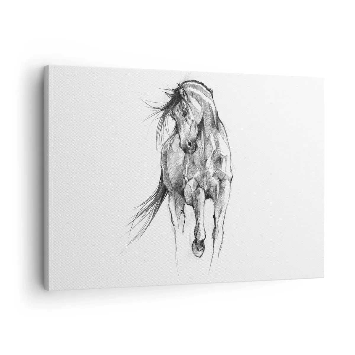Vászonkép - Kecses ügetésben - 70x50 cm