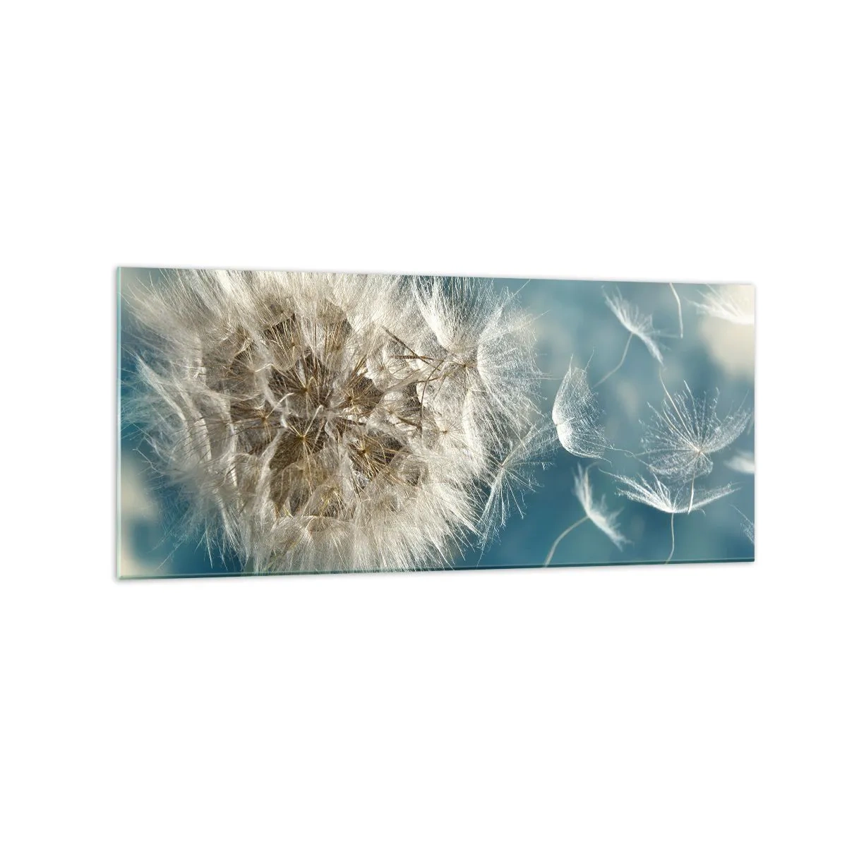 Üveg kép - Angyal lehelete - 120x50 cm