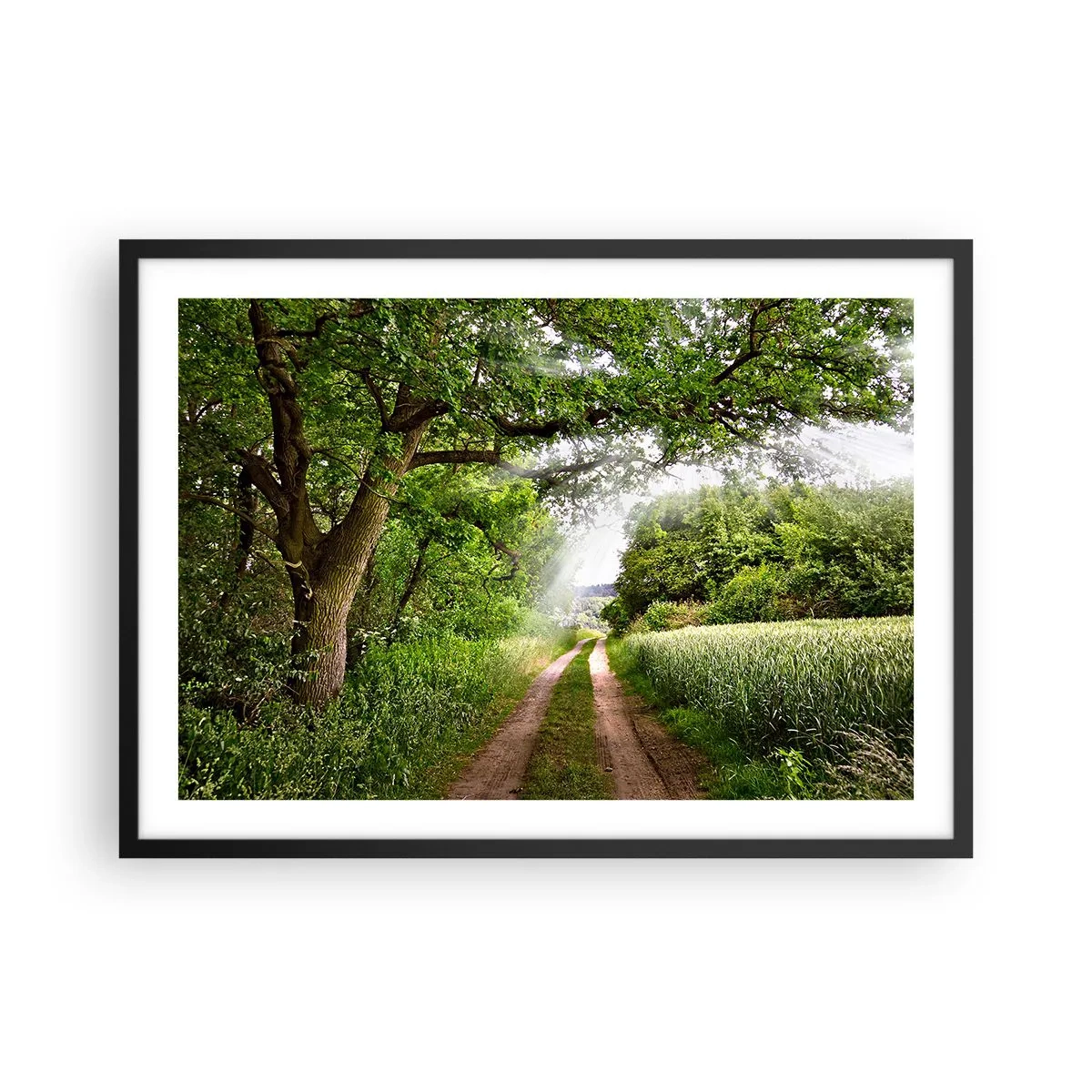 Poszter fehér keretben - Et in Arcadia ego - 70x50 cm