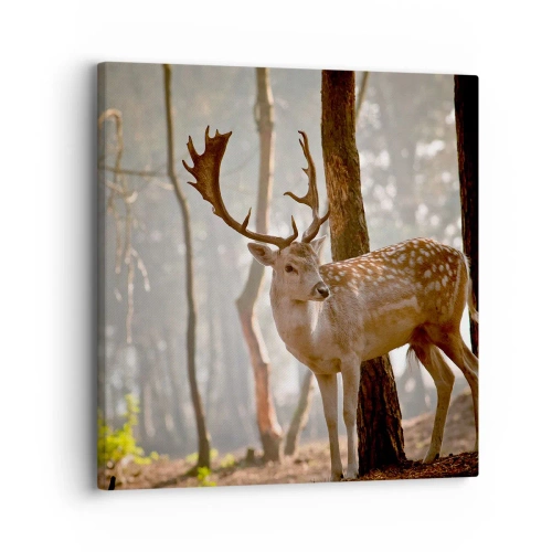 Vászonkép - A fiatalság fénye - 30x30 cm