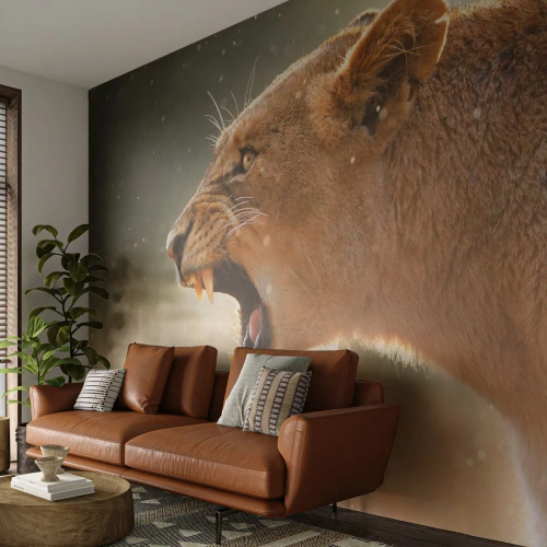 Fotótapéta Premium Sand - Próbálj meg nem hallgatni - Állatok, Oroszlán, Afrika - 100x70 cm