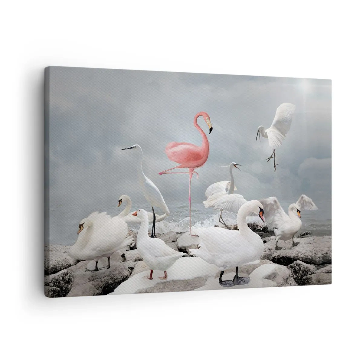Vászonkép - Egy rózsaszín flamingó fehér hattyúk között egy tó hátterében. - 70x50cm - Hogy kerültem ide? - Modern fali dekoráció nappalihoz és hálószobához ARTTOR